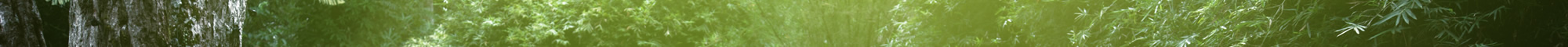 blog banner